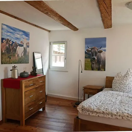 Apartamento Mendlers Wangen im Allgäu